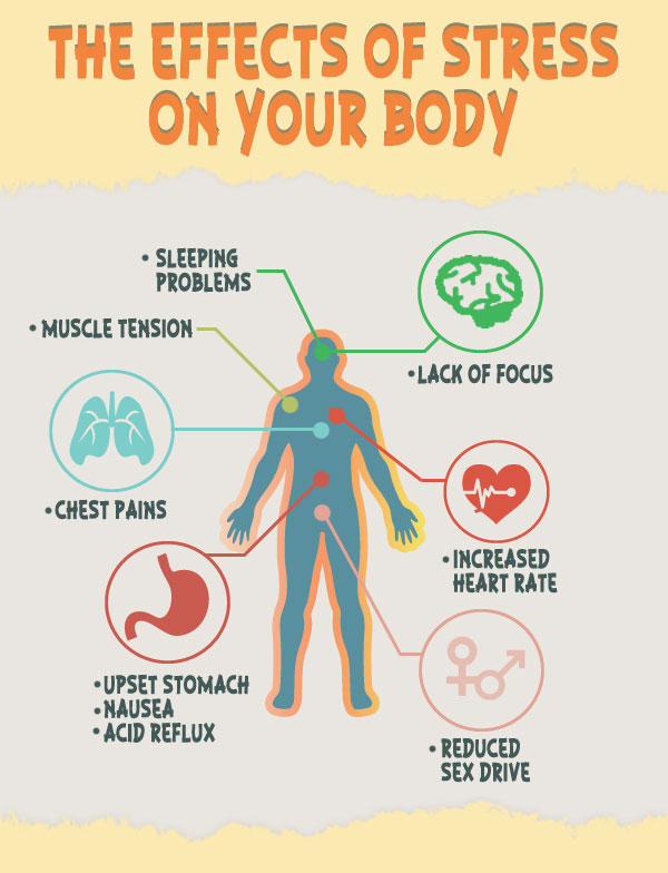How stress affects your body   sharon horesh bergquist 